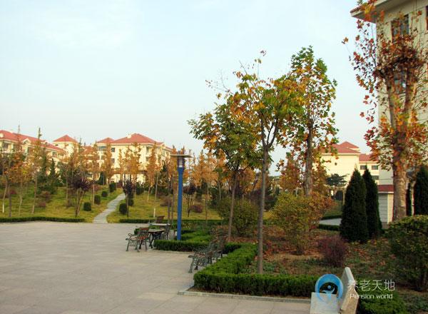 煙臺市老年福利服務中心 煙臺市老年福利服務中心