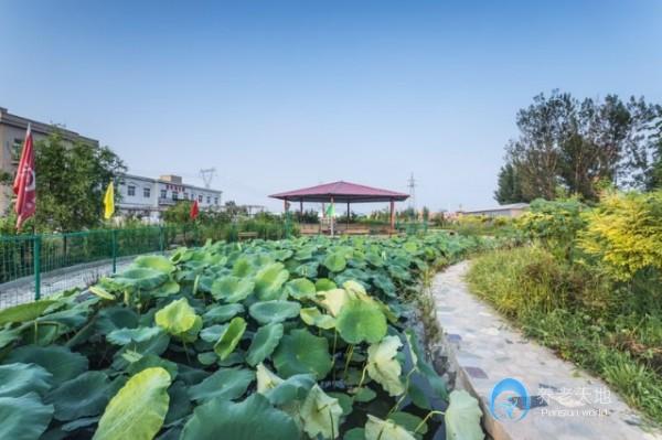 天津市西青區為善園養老院 天津市西青區為善園養老院