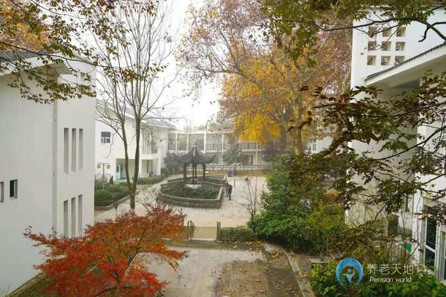 南京金康杏齡養(yǎng)老中心 南京金康杏齡養(yǎng)老中心