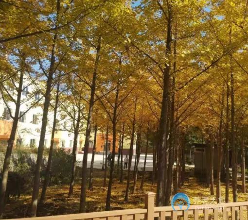 北京市海淀區(qū)愛(ài)達(dá)頤德老年公寓