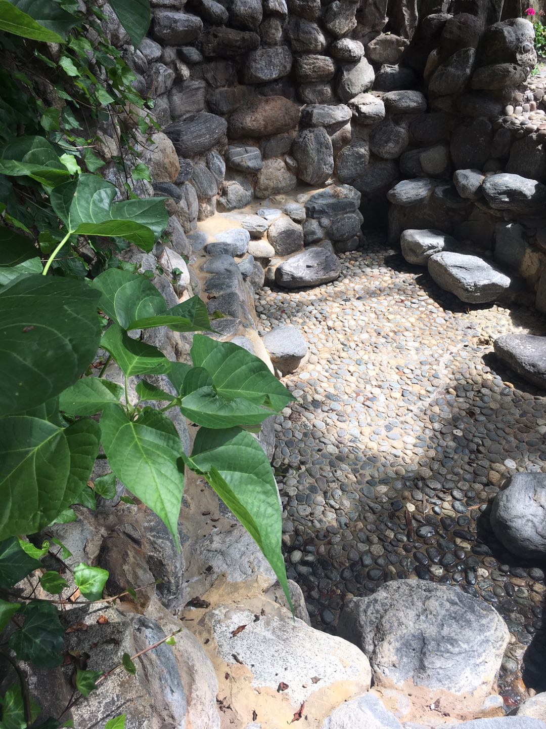 云南銀鷹溫泉酒店 云南銀鷹溫泉酒店