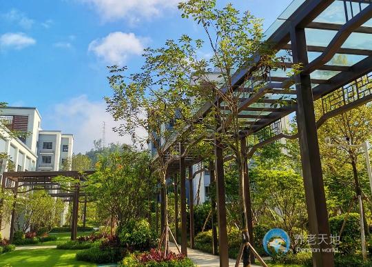 惠州碧桂園永湖山莊老年公寓 惠州碧桂園永湖山莊老年公寓