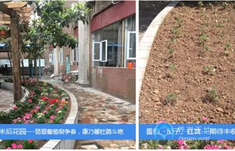 天興路社區(qū)養(yǎng)老服務(wù)中心