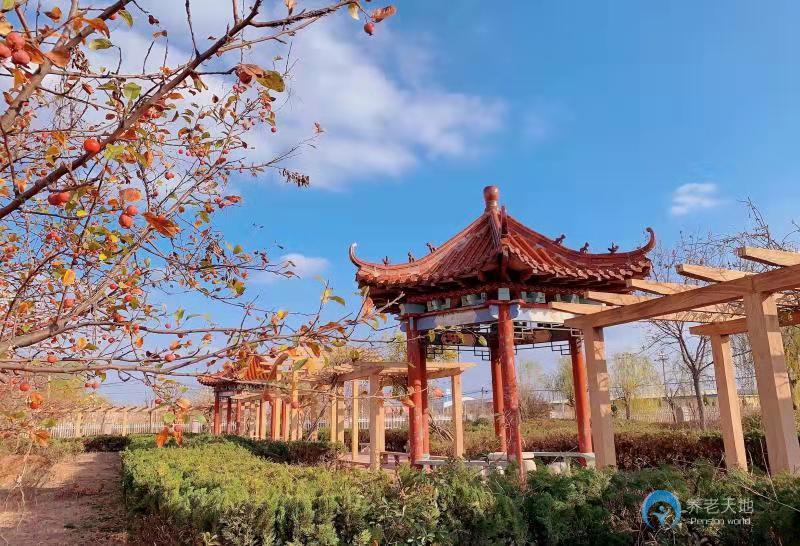 東營墾利區悠然亭頤養中心 東營墾利區悠然亭頤養中心