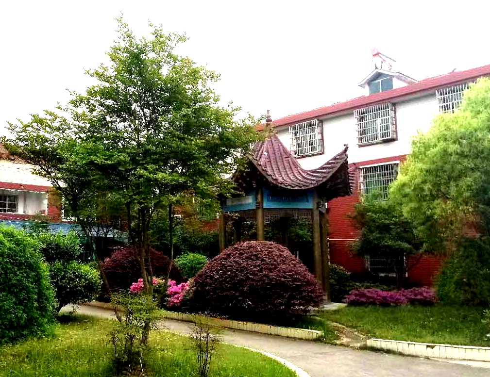 崇陽養老護理中心 崇陽養老護理中心