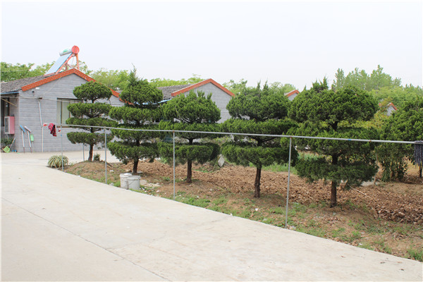 丹陽寶山老年公寓 丹陽寶山老年公寓