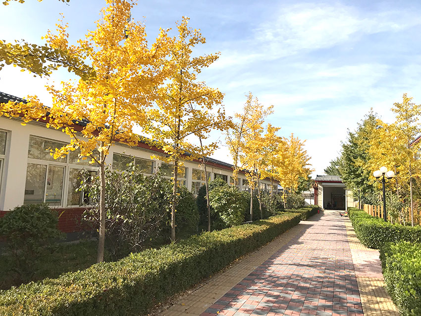 固安心悅康健園老年公寓 固安心悅康健園老年公寓