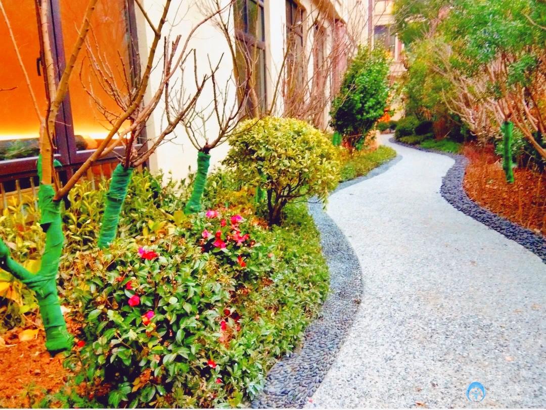 金煦福仙林湖頤養(yǎng)中心 金煦福仙林湖頤養(yǎng)中心