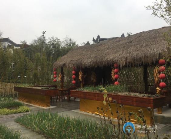 泰康之家·蜀園 泰康之家·蜀園