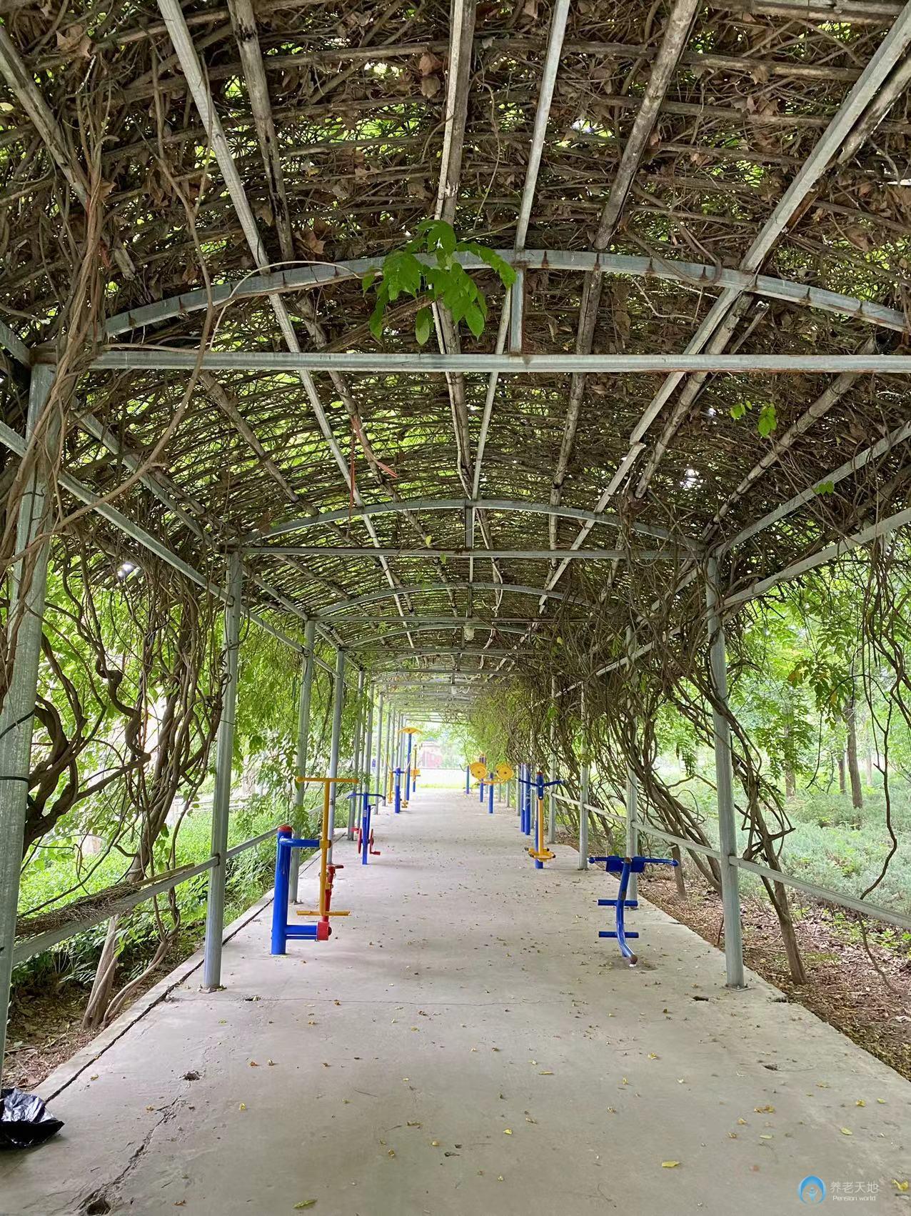 北京君和養老朝陽分院(主要接收精神疾病老人) 北京君和養老朝陽分院(主要接收精神疾病老人)