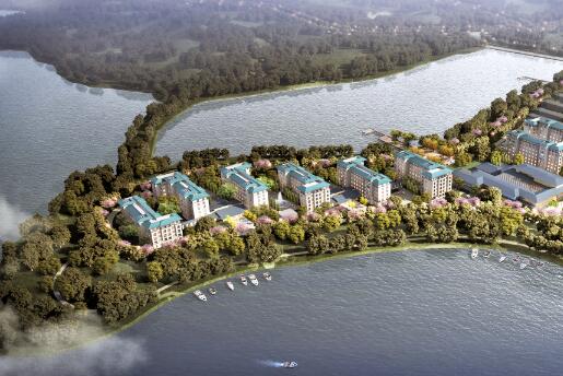 1512612287679045000.jpg 66.jpg