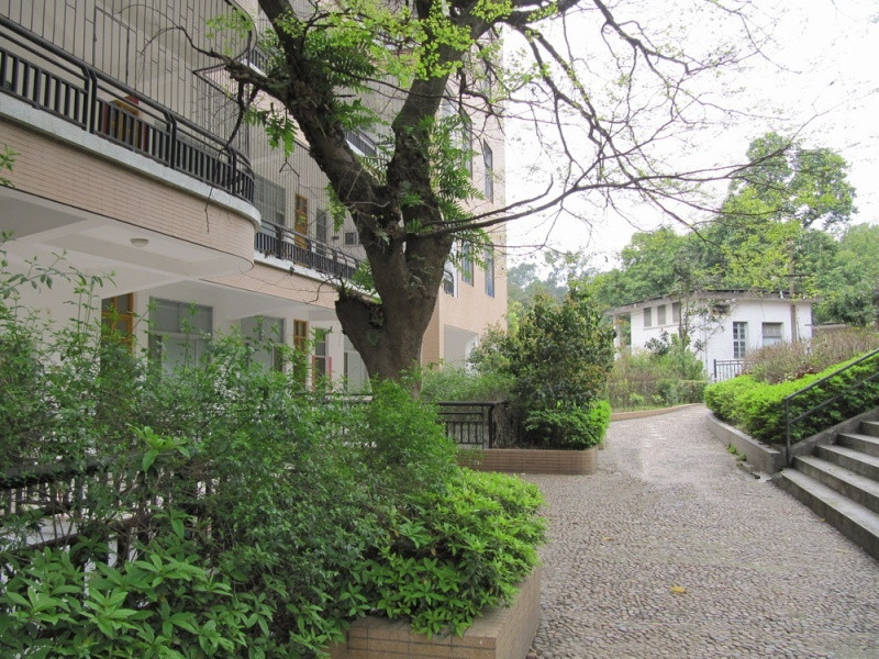 1515461219659026841.jpg 1515461219659026841.jpg