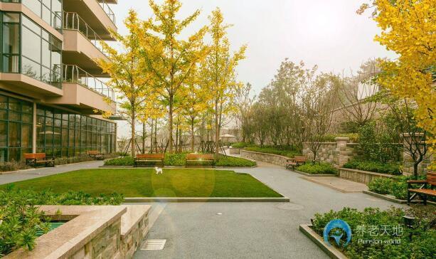 1518227459765045688.jpg 1518227459765045688.jpg