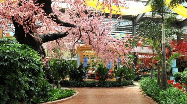 1520300685779075355.jpg 1520300685779075355.jpg