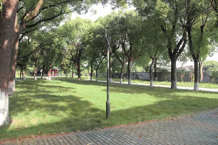 1529891337077071947.jpg 1529891337077071947.jpg