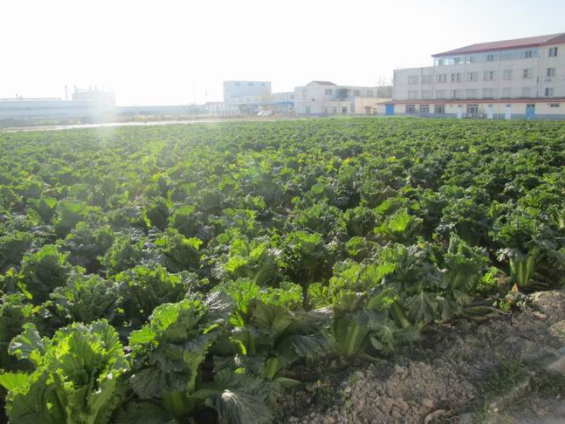 1545629492259076628.png QQ截圖20181224124249.png