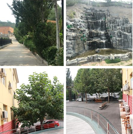 1545794494220032483.png QQ截圖20181226111809.png