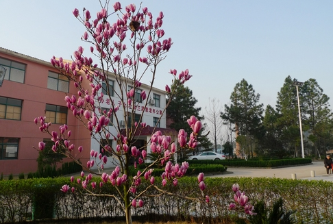 1547540116857032951.png QQ截圖20190115161414.png