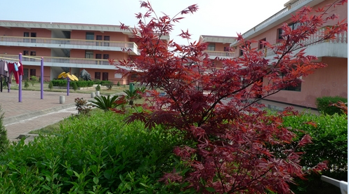 1547540128355021714.png QQ截圖20190115161425.png