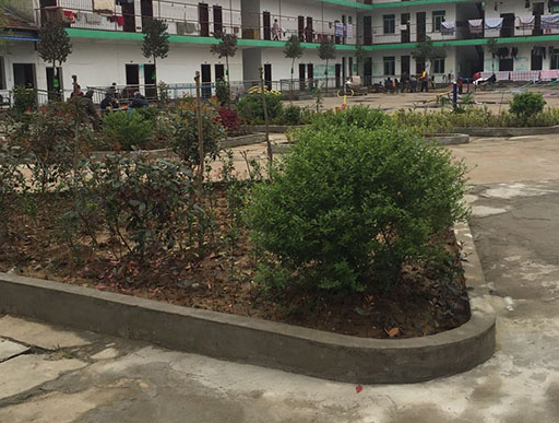 1548320162293041112.png QQ截圖20190124165227.png