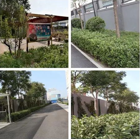 1548729179856005693.png QQ截圖20190129102806.png