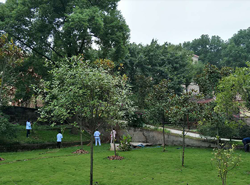 1554886673164075526.png QQ截圖20190410165709.png