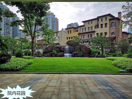 1559735785096034873.jpg 4.jpg