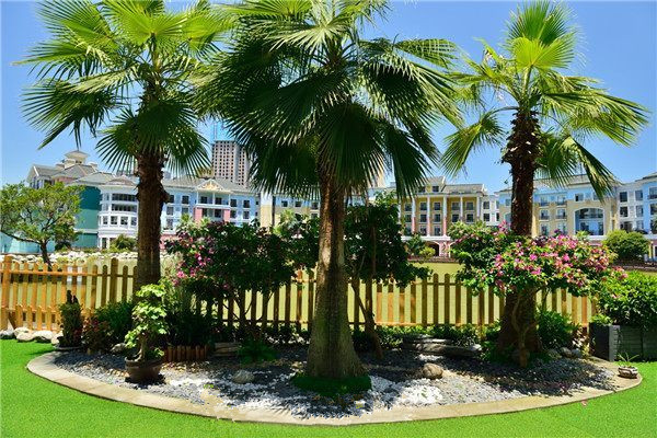 1568875425619078163.jpg 1568875425619078163.jpg