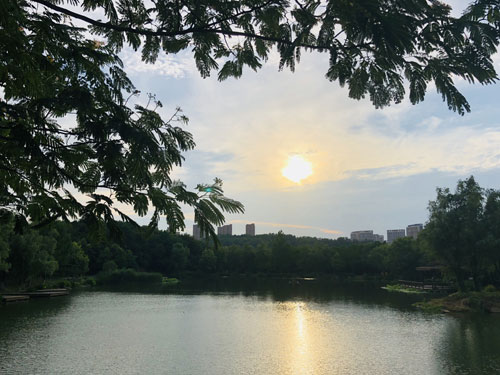 1569052691019015900.jpg 1569052691019015900.jpg