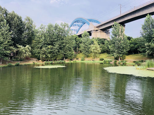 1569052704035055583.jpg 1569052704035055583.jpg