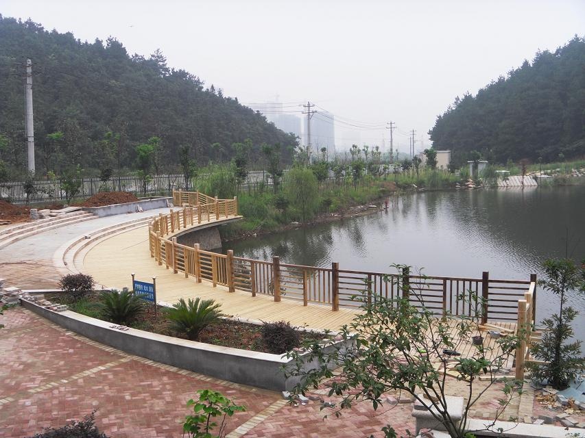 1571896754787075123.jpg 1571896754787075123.jpg