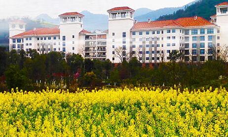 1573524906602041055.jpg 1573524906602041055.jpg