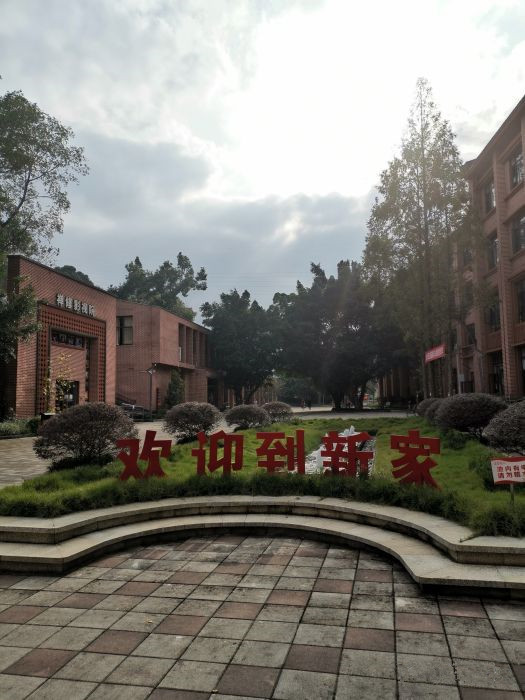 1573526563409068501.jpg 1573526563409068501.jpg