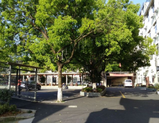 1573543289586060249.png QQ截圖20191112151816.png