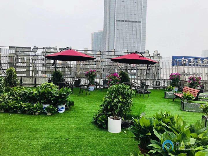 1573636994115054907.jpg 1573636994115054907.jpg