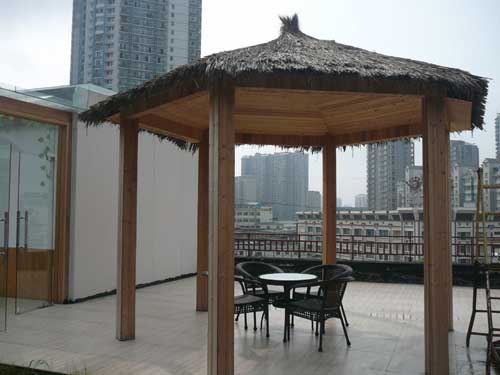 1573896883519030420.jpg 1573896883519030420.jpg