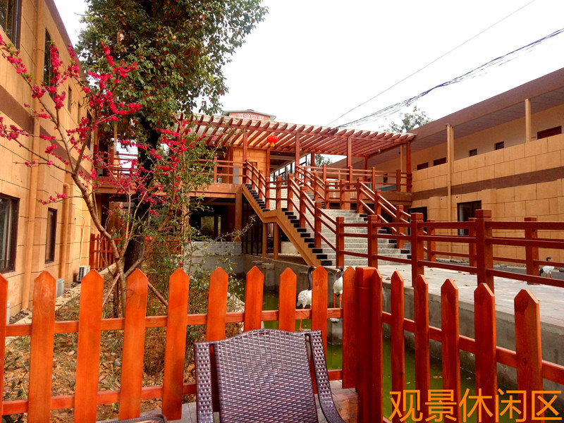 1574154197728012972.jpg 1574154197728012972.jpg