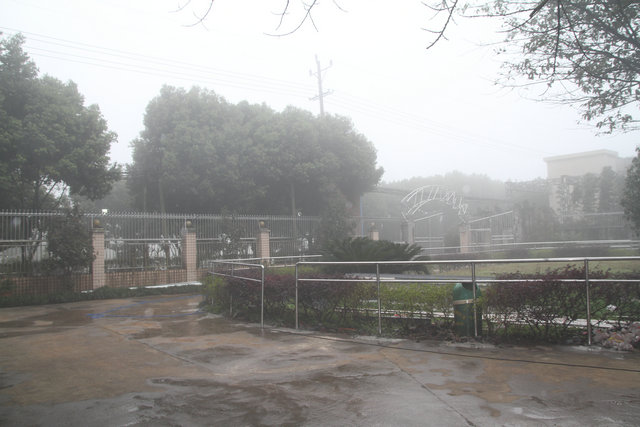 1574476568237044332.jpg 1574476568237044332.jpg