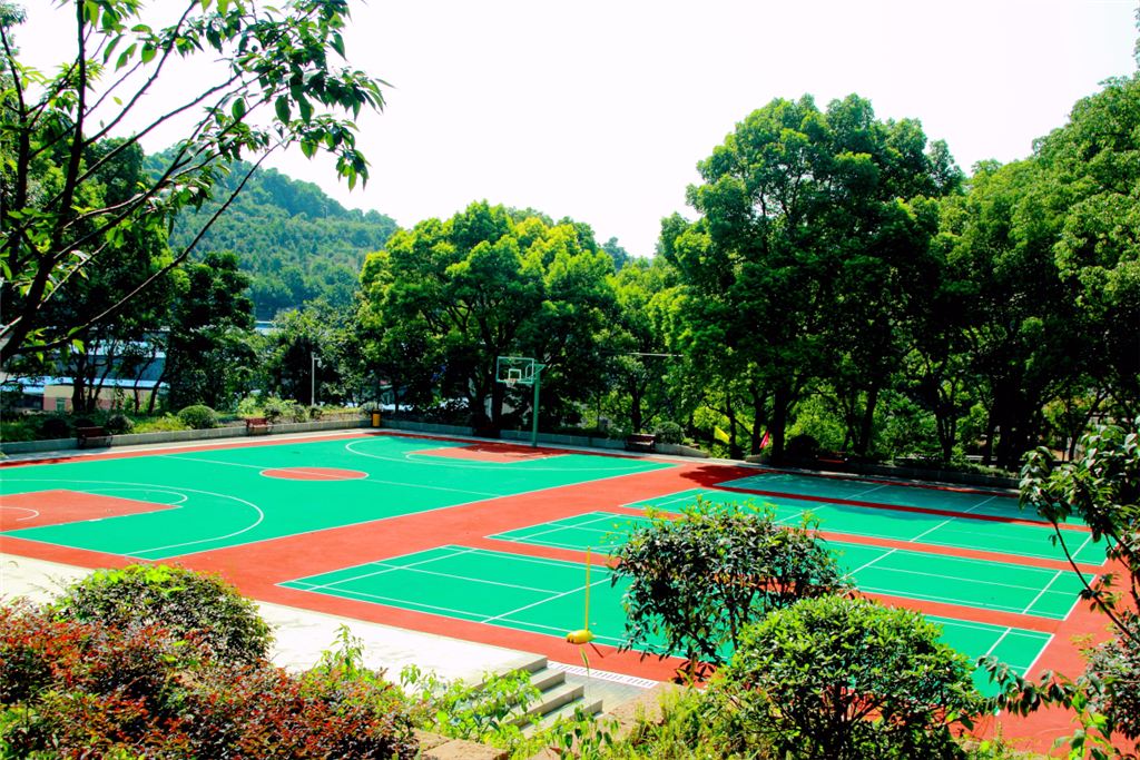 1574476727953015334.jpg 1574476727953015334.jpg