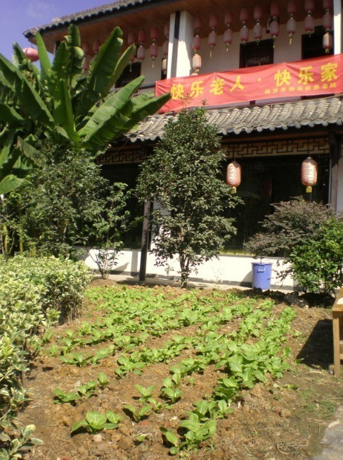 1575097202487007247.jpg 1575097202487007247.jpg