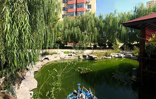 1576651848786094210.jpg 1576651848786094210.jpg