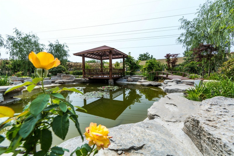 1576651921843006452.jpg 1576651921843006452.jpg