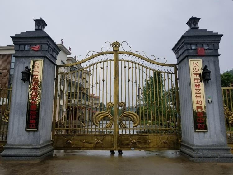 1578725900282075559.jpg 1578725900282075559.jpg