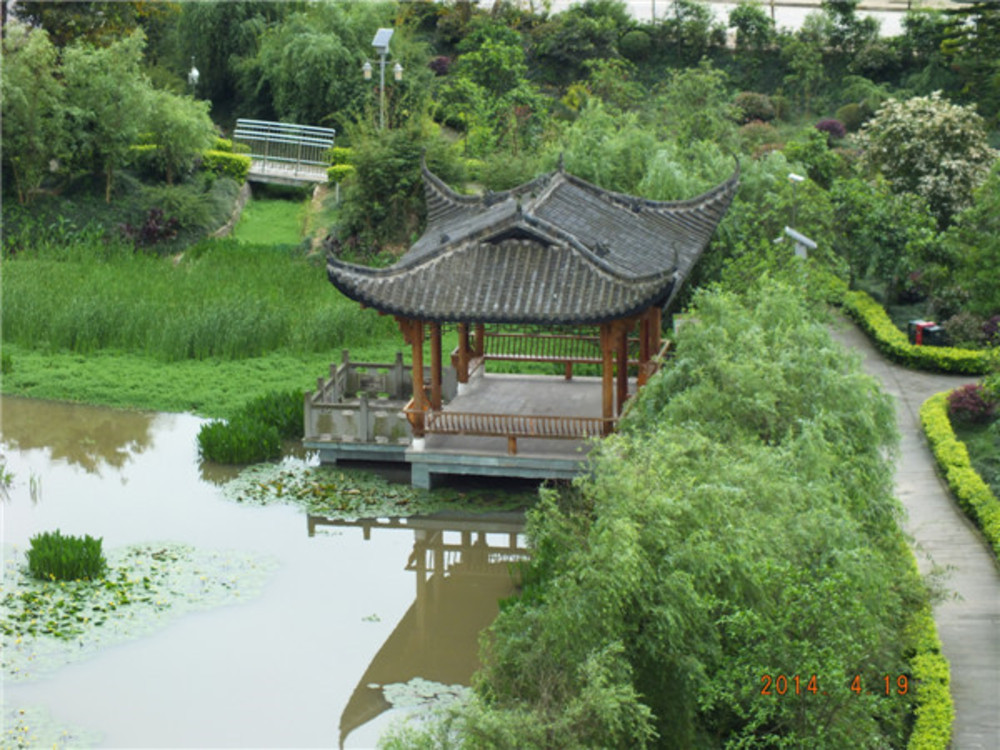 1579251726457031809.jpg 1579251726457031809.jpg