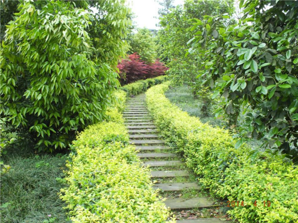 1579251757227074700.jpg 1579251757227074700.jpg