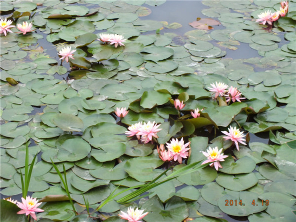 1579252969149030283.jpg 1579252969149030283.jpg