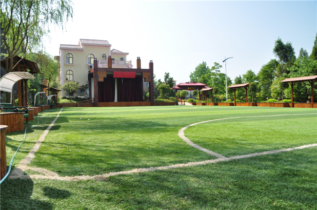 1582875902654014443.jpg 1582875902654014443.jpg