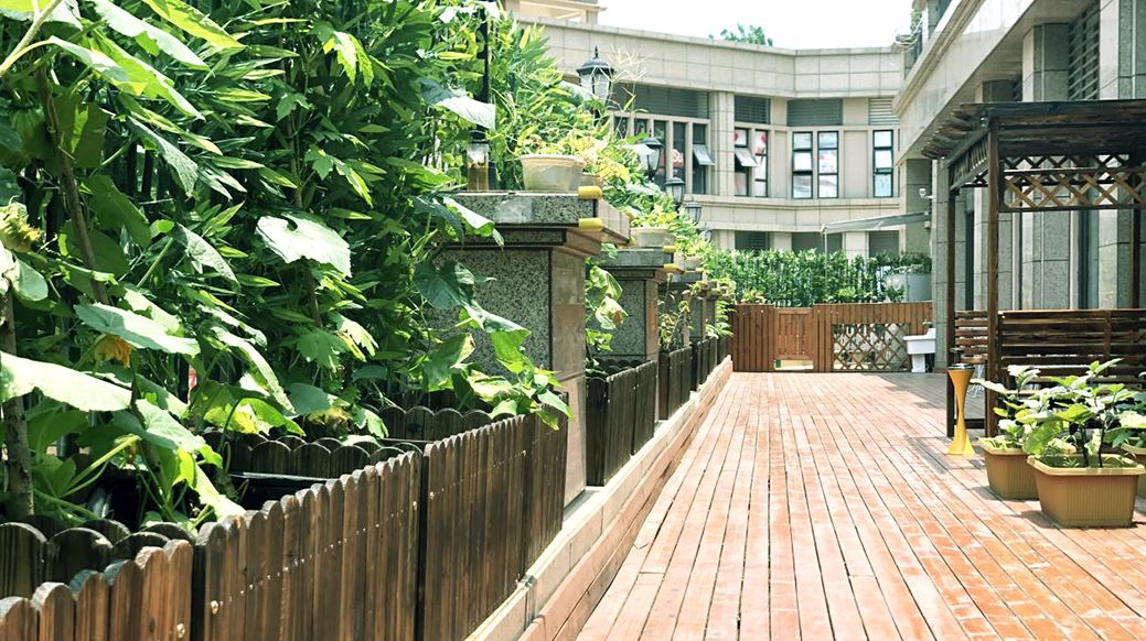 1583663440867032747.jpg 1583663440867032747.jpg