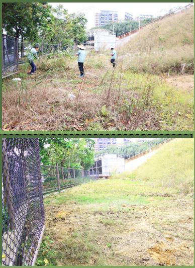 1584068000924086132.png QQ截圖20200313105207.png