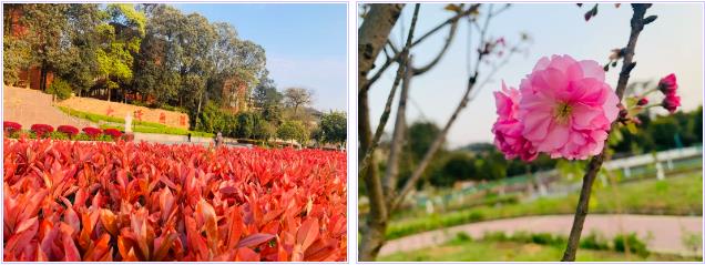 1585099741833030402.jpg 1585099741833030402.jpg